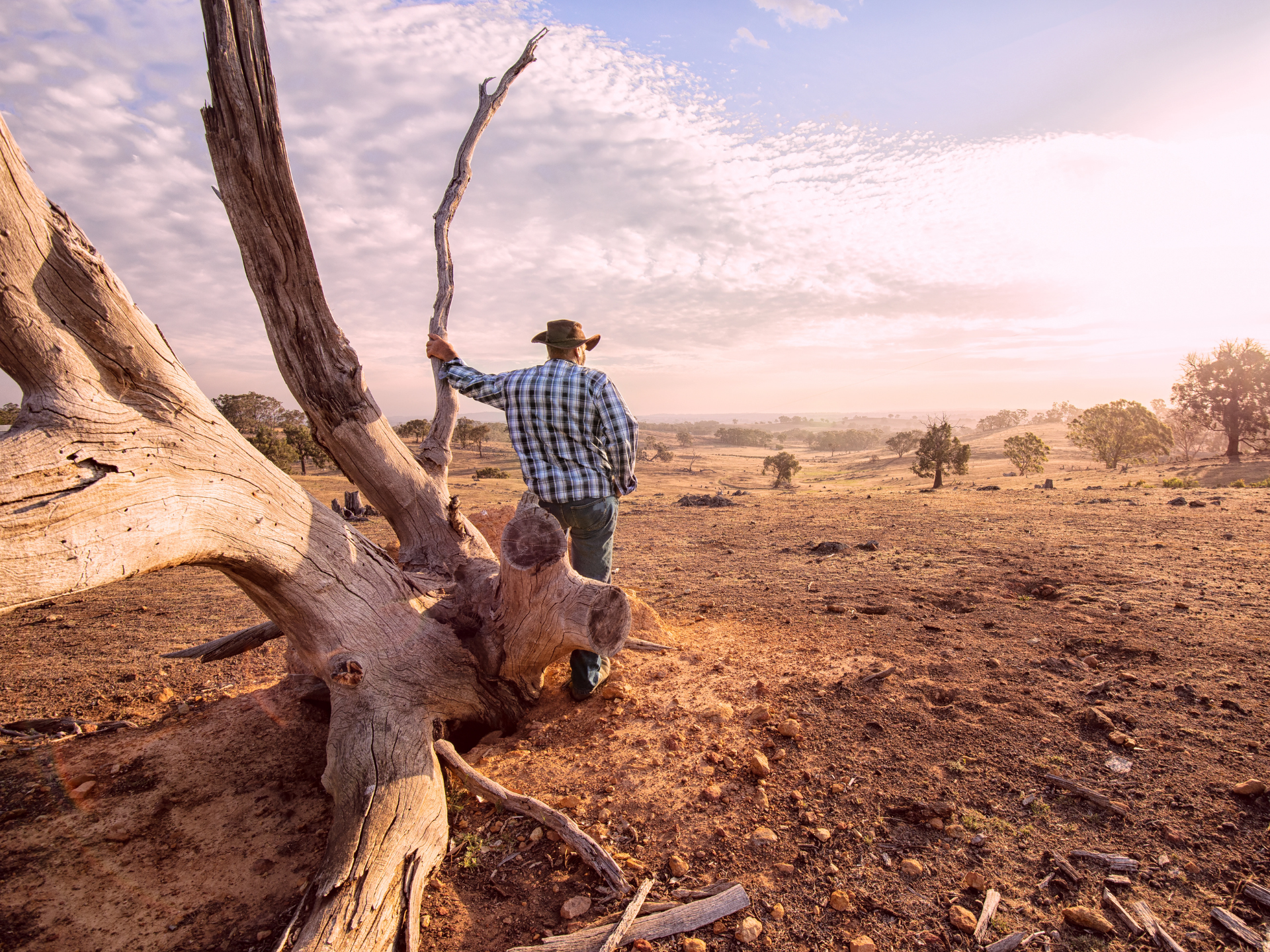Aussie Sun The Australian Sun: Beauty and Danger in the Land Down Under | OZ Smart